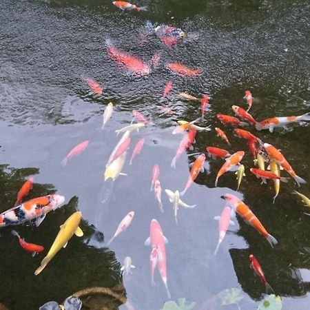 Gyokutei Hotell Hakone Eksteriør bilde