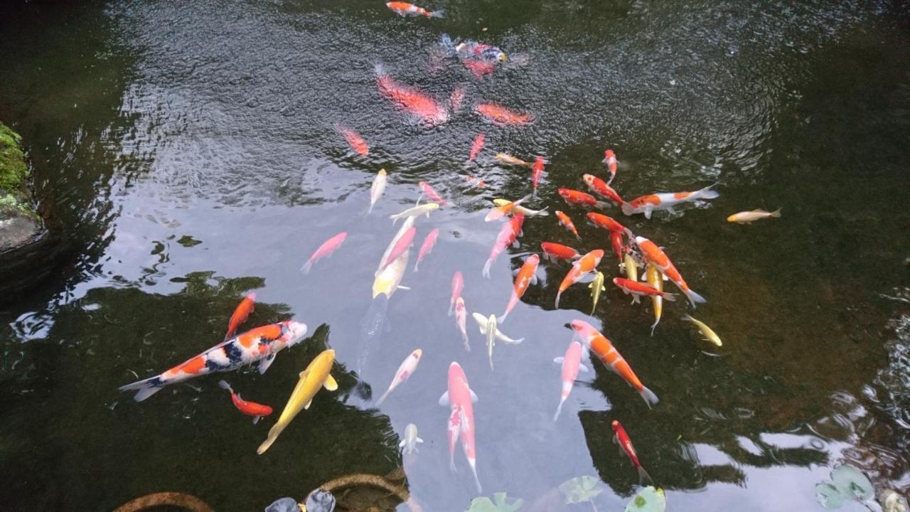 Gyokutei Hotell Hakone Eksteriør bilde