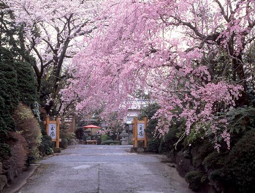 Gyokutei Hotell Hakone Eksteriør bilde